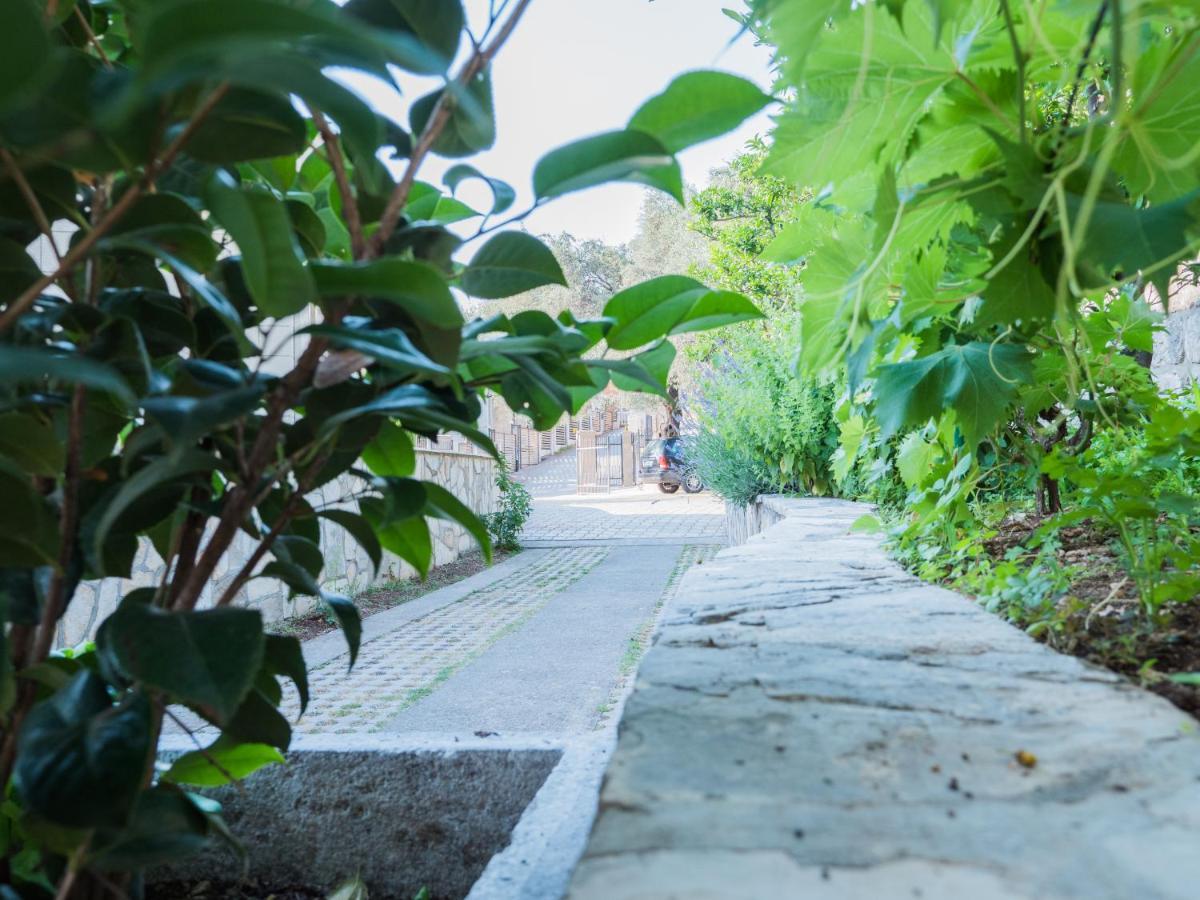 Rezevici Boutique Villa Petrovac Exteriér fotografie