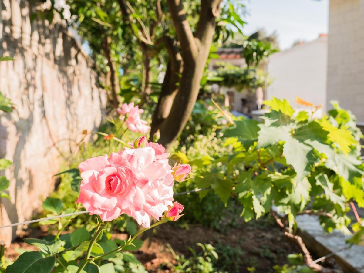 Rezevici Boutique Villa Petrovac Exteriér fotografie